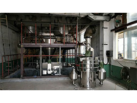 山東聯(lián)盟磷復(fù)肥有限公司-LG200干法制粒機(jī)