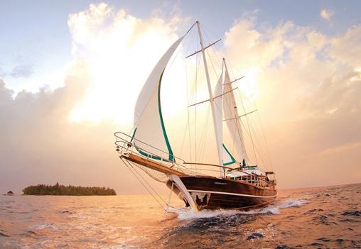 力馬與您揚(yáng)帆制藥機(jī)械的“星辰大?！?/> </a> <a href=